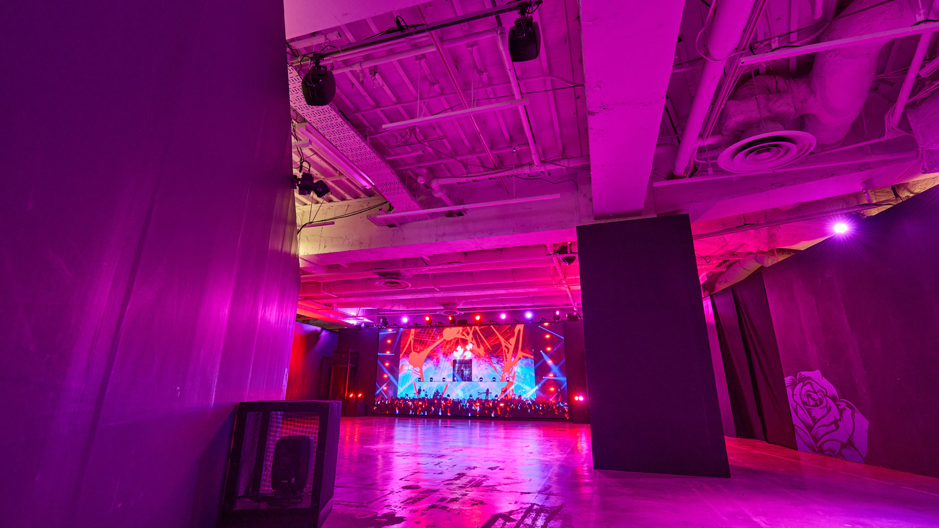 Miru NYC web image 2
