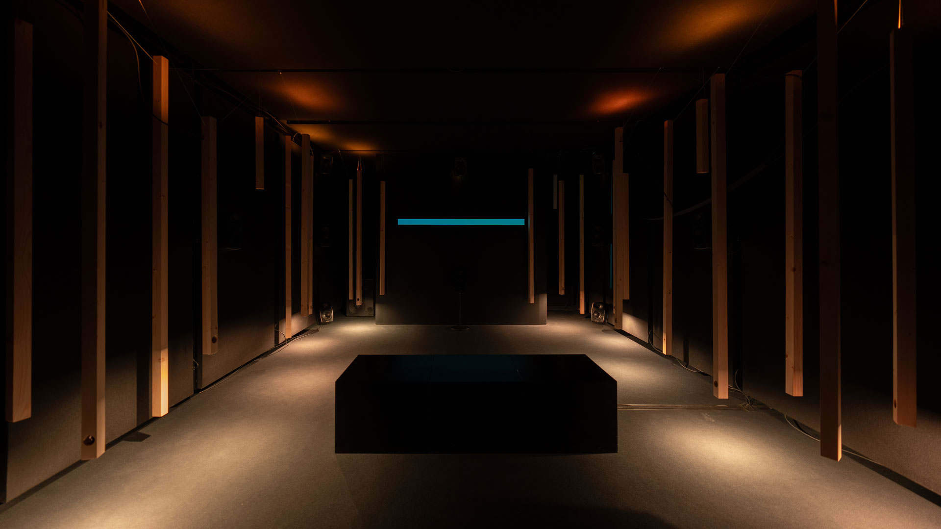 グルベンキアン美術館『The Voice of Inconstant Savage』