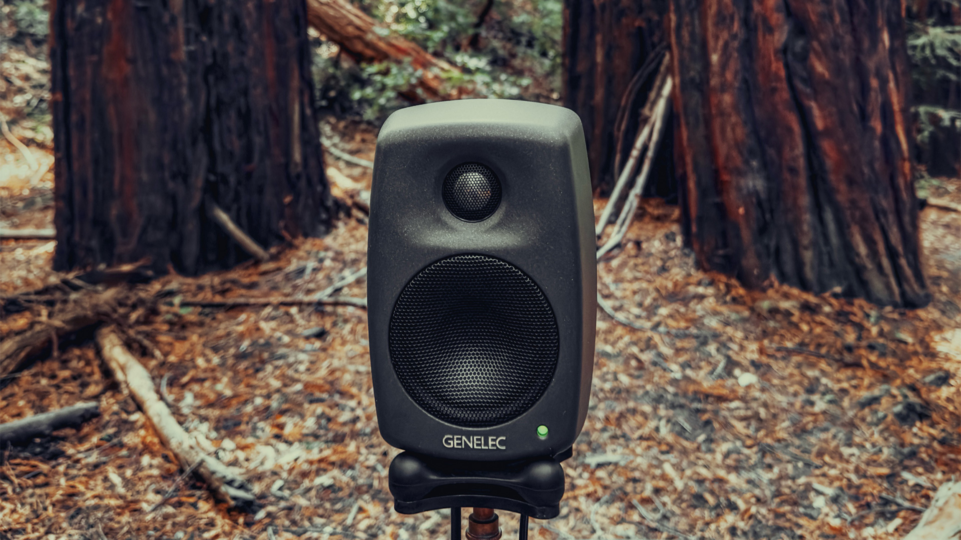 レッドウッド・レゾナンス