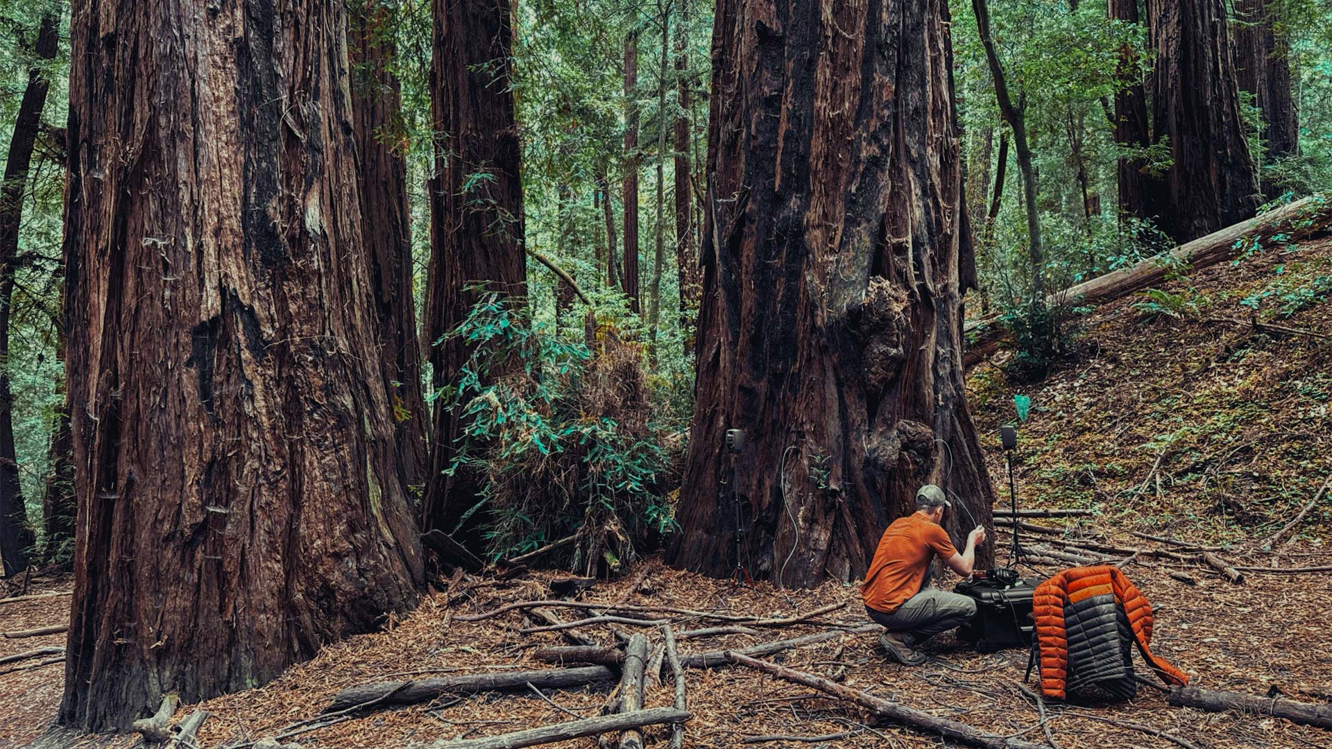 Genelecとトーマス