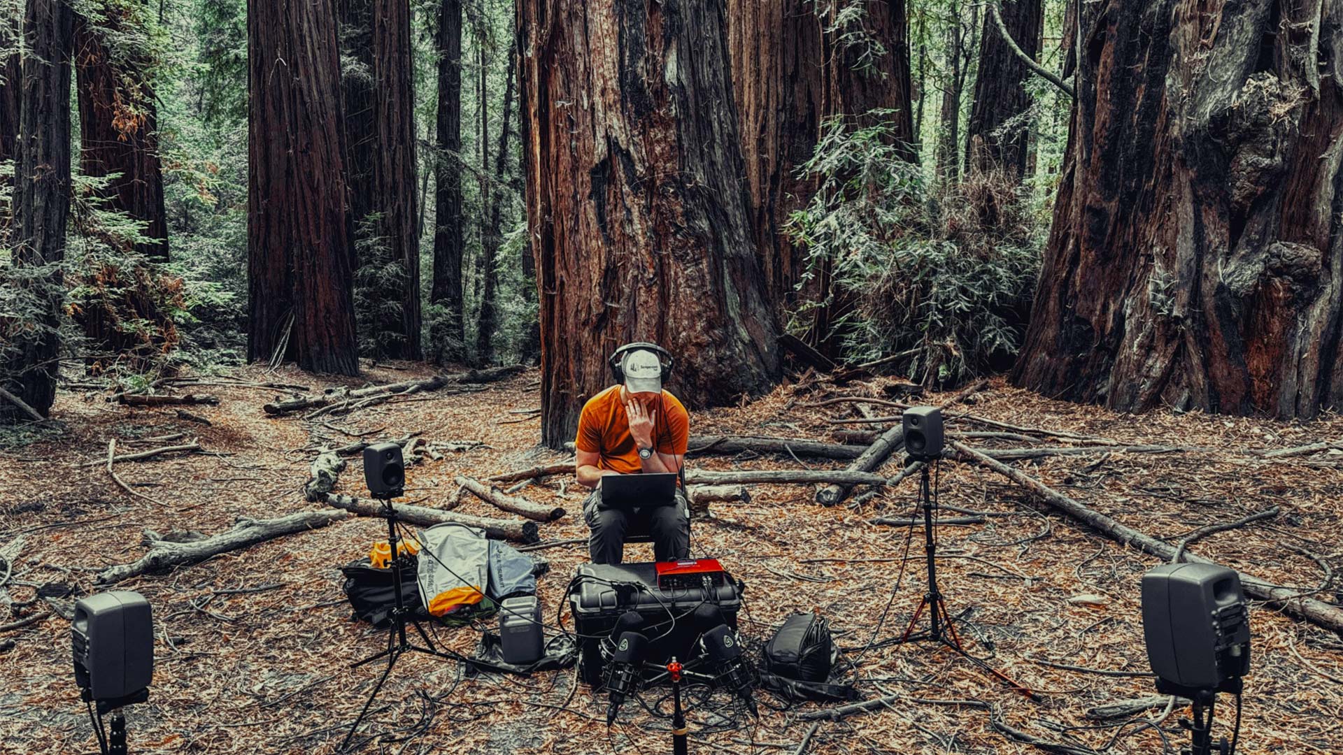 Genelecとトーマス