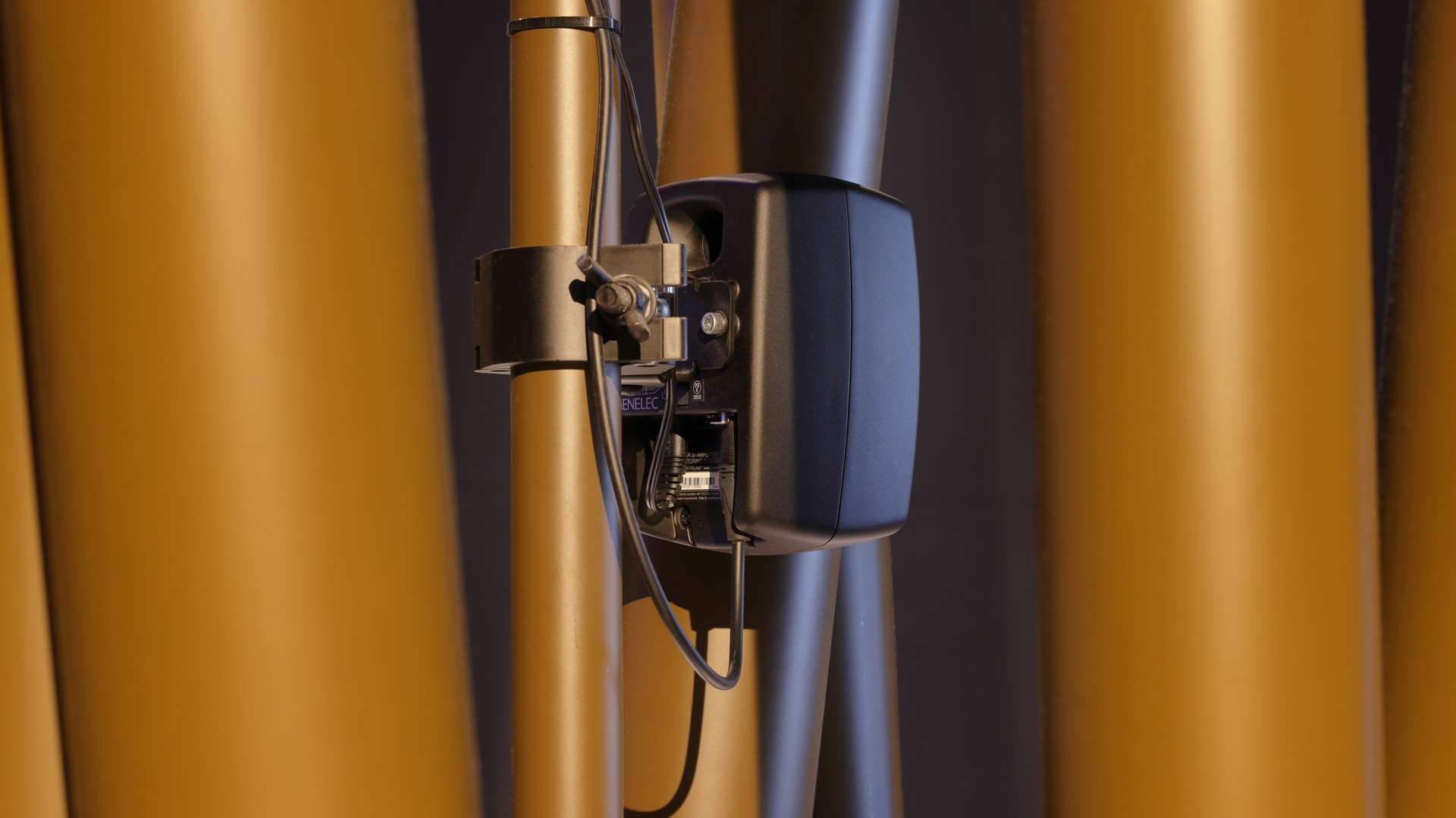 生き物の世界へといざなう没入感 - ずかんミュージアム銀座 Powered by 小学館の図鑑NEO